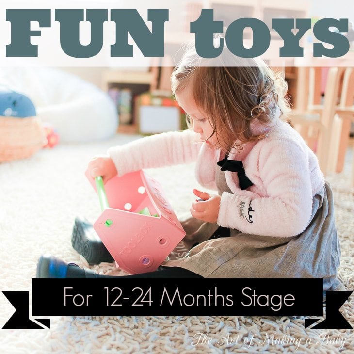 Fun Toys For 12 24 Months Stage Every